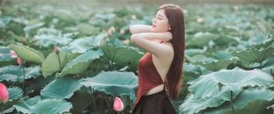 打破垄断！惠普、华硕、宏碁已开始搭载长鑫存储芯片